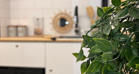 photo de la gamme ORIGIN (2)